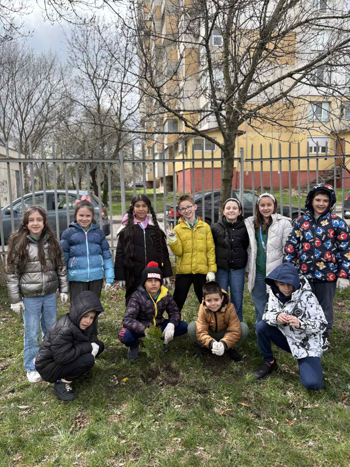 снимка на Засаждане на дръвчета в двора на нашето училище